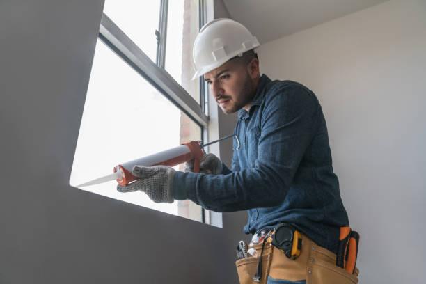 Best Skylight Installation  in USA